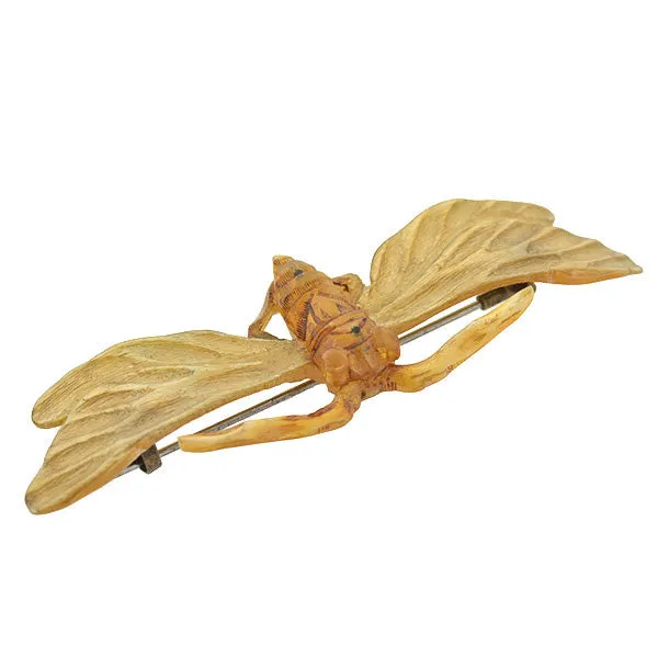 Art Nouveau French Carved Horn Winged Insect Pin